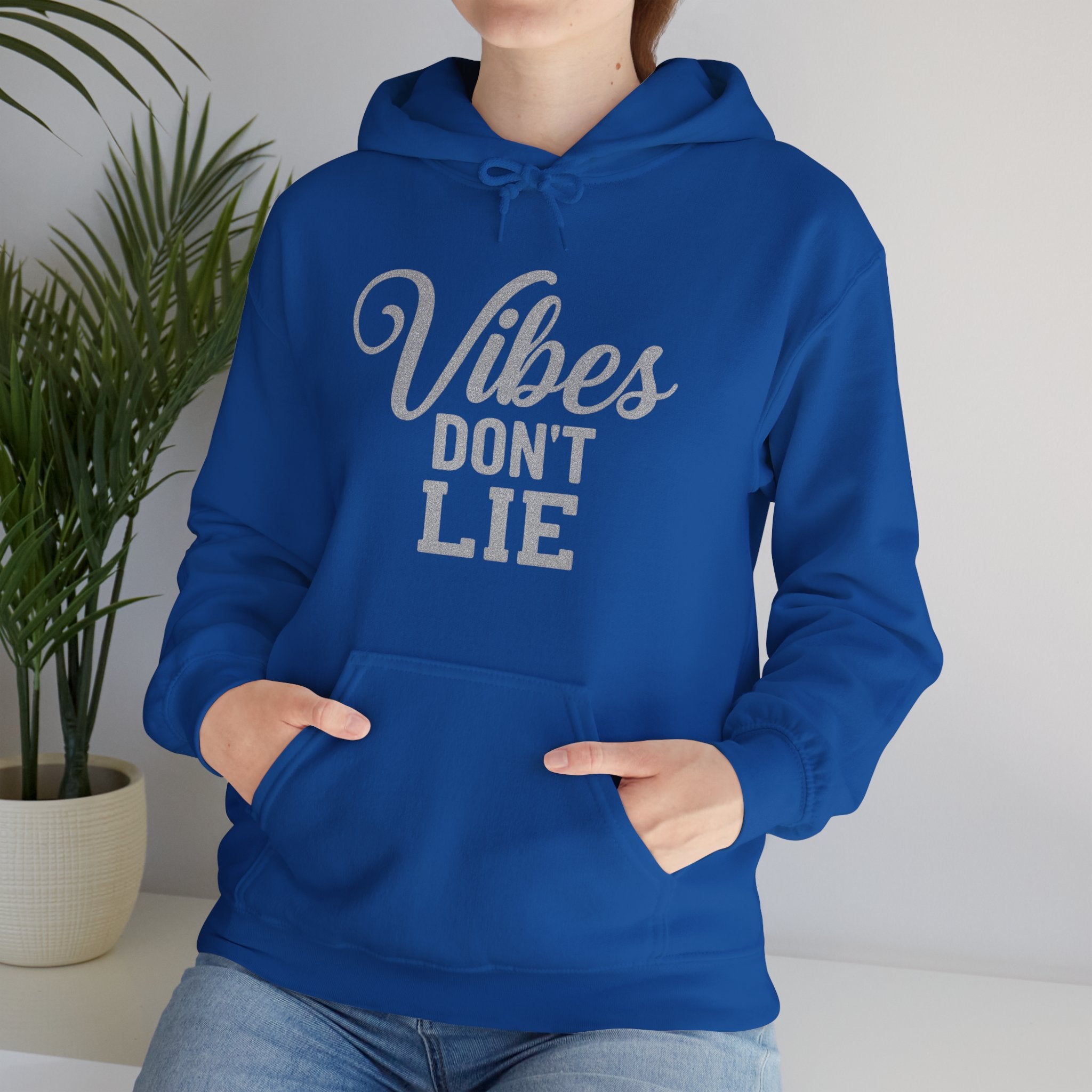 Vibes Don't Lie Hoodie