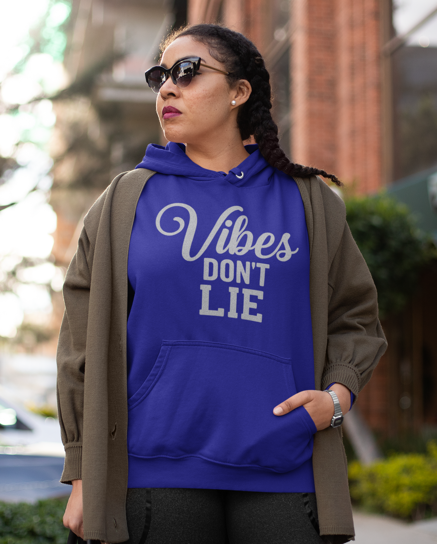 Vibes Don't Lie Hoodie